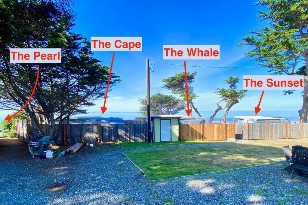 The Pearl Apartment Ophir Exterior photo